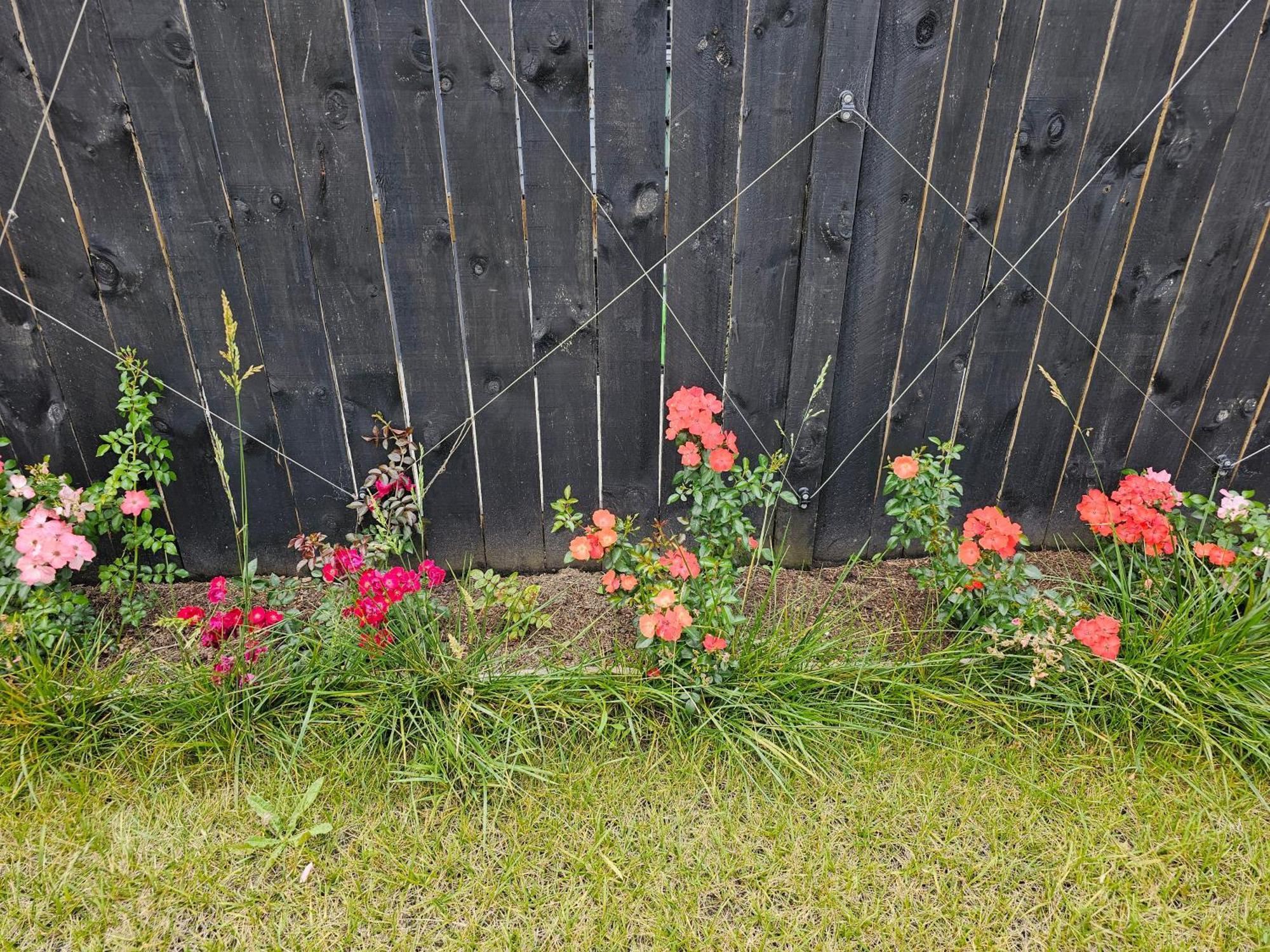 Apartment Tui Nest Garden Unit *